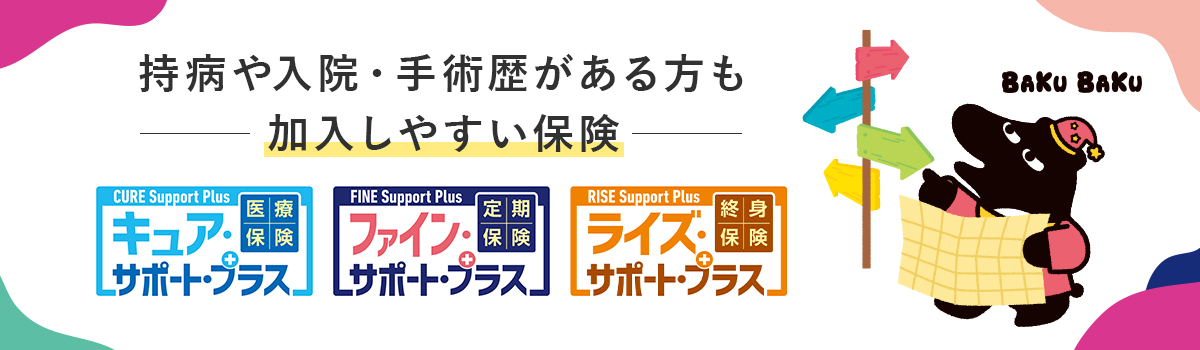 オリックス生命保険の資料請求